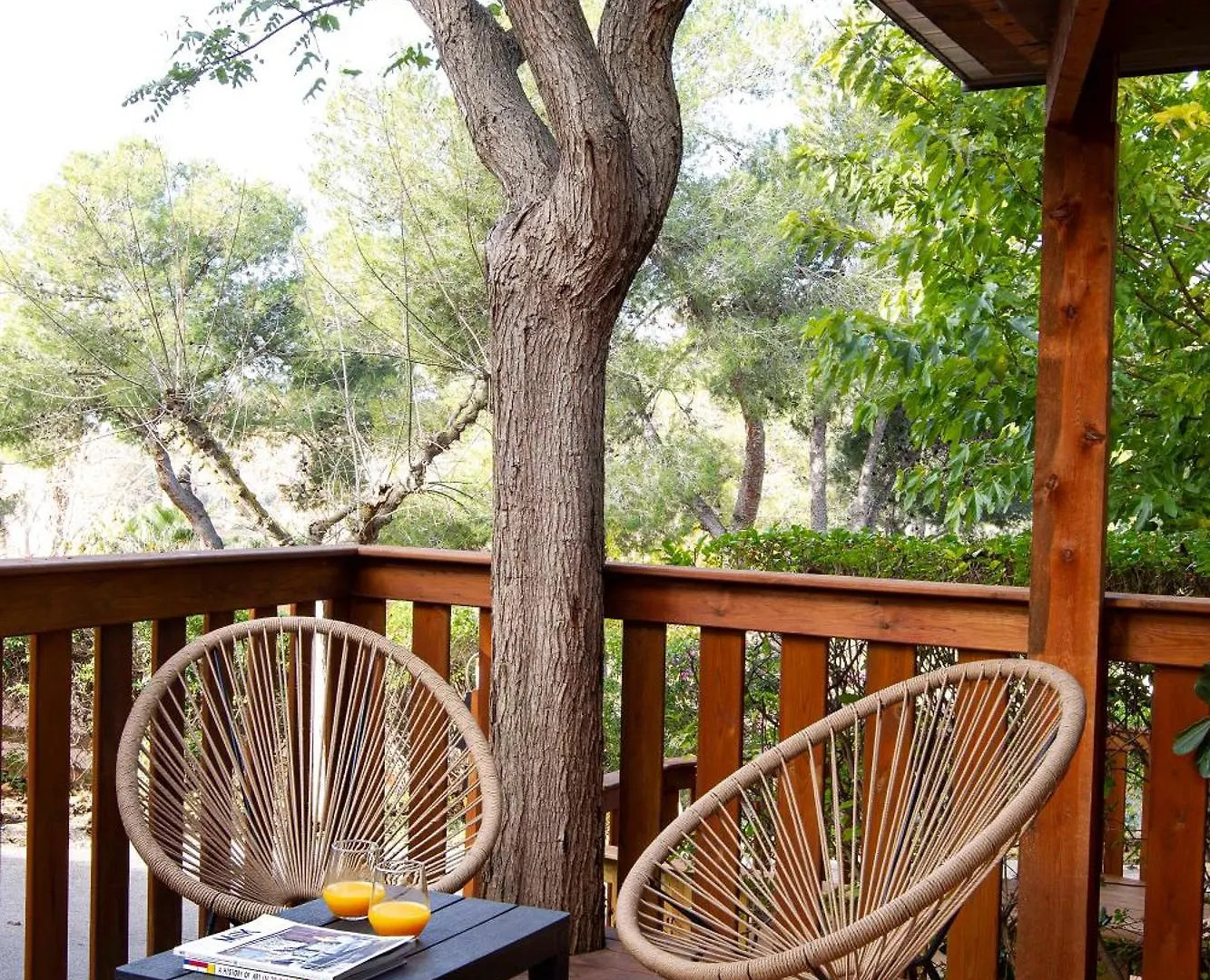 Camping Caledonia Tamarit